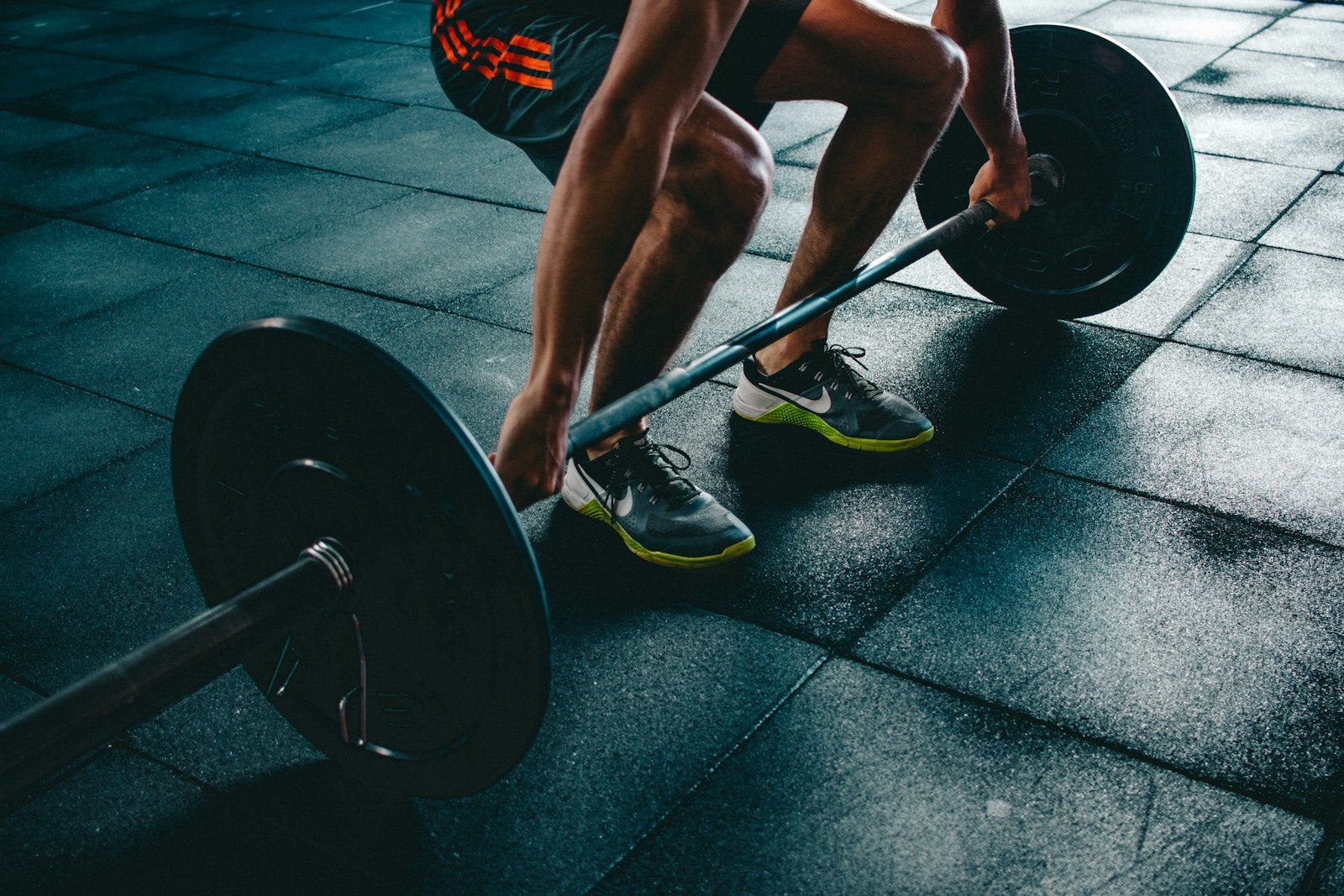 Rows of dumbbells and loaded plate trees on the strength floor